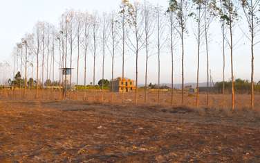 0.125 ac Residential Land at Mutalia