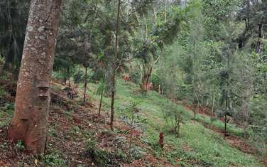 Residential Land in Tatu City