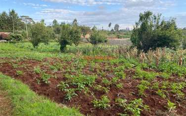 4,000 m² Land in Limuru