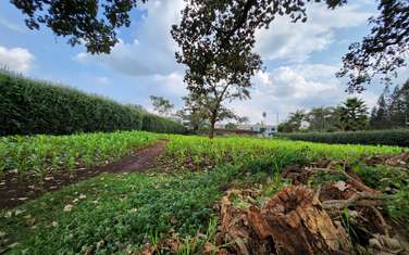 Residential Land in Karen