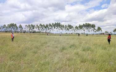 0.05 ha Land at Mutallia