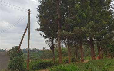   land for sale in Ruaka