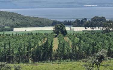 Land in Naivasha