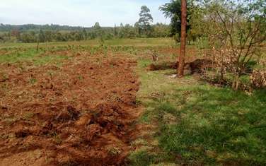 Land in Kamangu