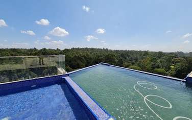 2 Bed Apartment with En Suite in Karura