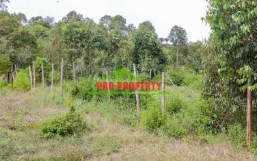 0.05 ha Residential Land at Nachu