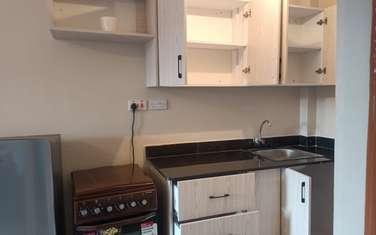 1 Bed Apartment with En Suite in Kinoo