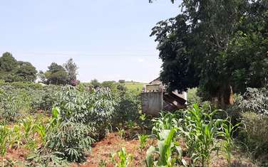 0.25 ac Land at Kirigiti Road