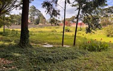 0.5 ac Residential Land in Nyari