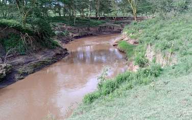 19 ac Land at Narok - Ewasongiro