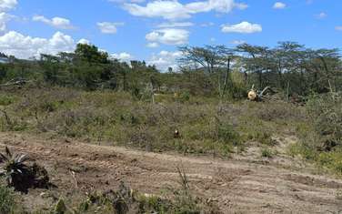 500 m² Land at Makuyu