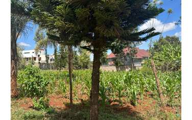 Residential Land in Kiambu Road