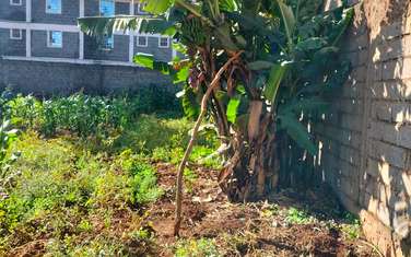 10,000 m² Commercial Land at Thogoto