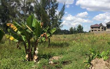2,400 ft² Residential Land at Kenol Kenol Kabati Highway
