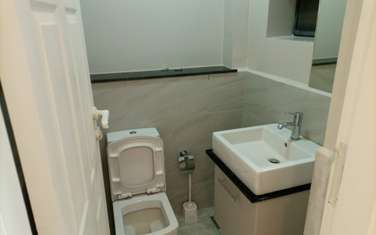 4 Bed Apartment with Swimming Pool in Lavington