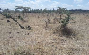 35 ac residential land for sale in Kiserian