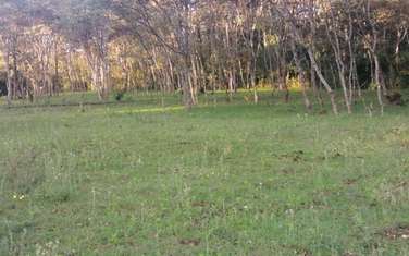 10000 ft² residential land for sale in Ngong