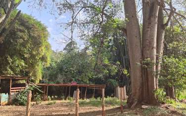 2.5 ac Land at Old Kitisuru