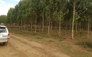 20235 m² land for sale in Naivasha