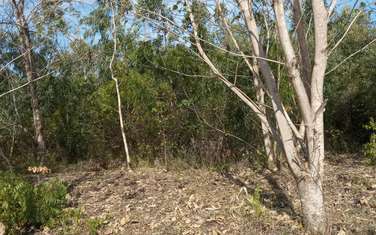 1 ac Commercial Land in Vipingo