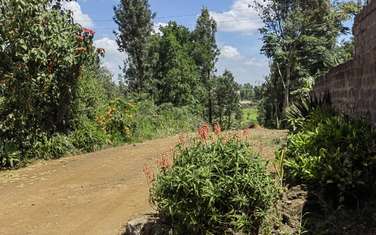 Residential Land at Ndumberi