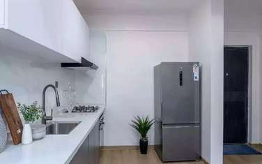 Serviced 1 Bed Apartment with En Suite at Rhapta Road