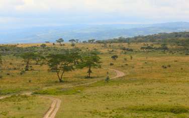 2 ac Land at Maasai Mara