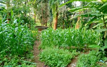 Commercial Land in Ruaka