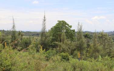 0.040 ha Land at Kenol