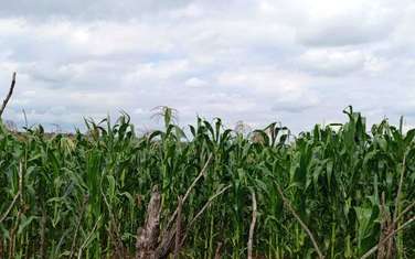 25 ac Land at Narok - Enabelbel