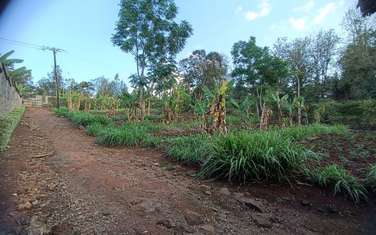 0.5 ac Residential Land in Thome