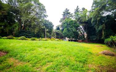 Land in Lavington