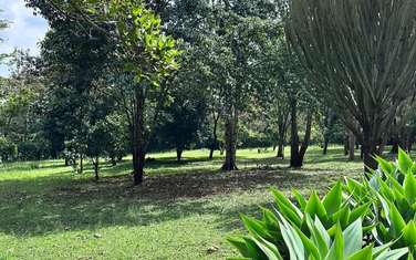 Residential Land in Karen