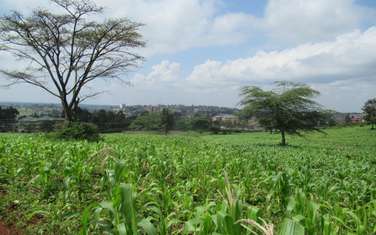 Land at Ngong Town