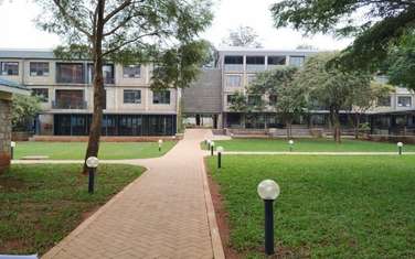 Commercial Property with Backup Generator at Usiu Road
