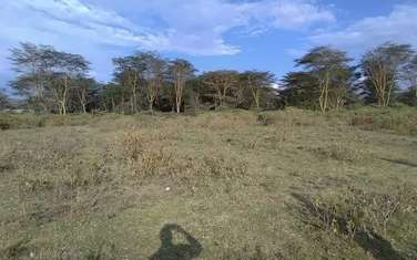 Land at Lake Naivasha