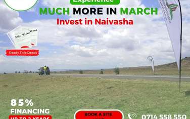 Land at Naivasha Road