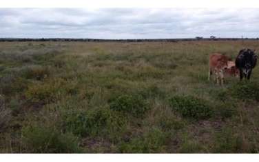 80940 m² residential land for sale in Isinya