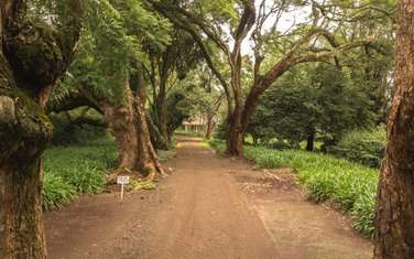 Land at Juja - Gatundu Road