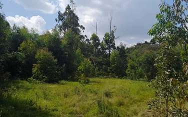Land in Langata