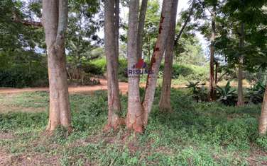 0.25 ac commercial land for sale in Ruiru