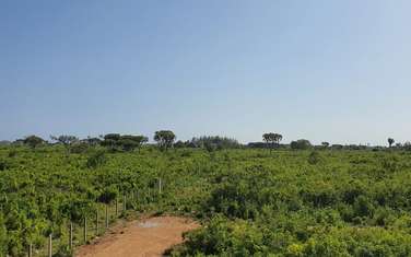 464 m² land for sale in Diani