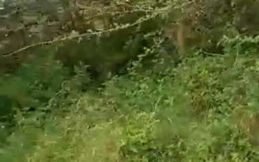 Land in Nanyuki