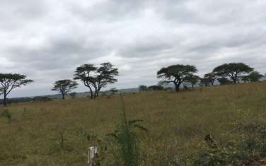 Land for sale in Kiserian