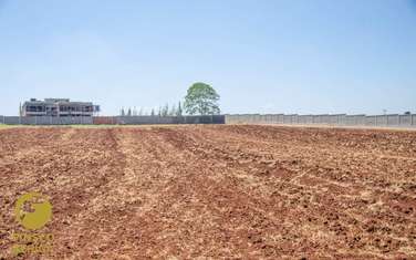 5000 ft² commercial land for sale in Tatu City