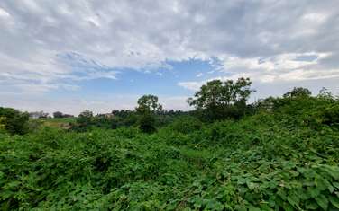 Commercial Land at Redhil Road
