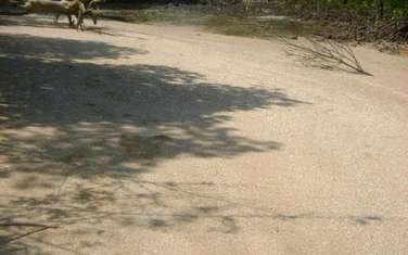  40470 m² residential land for sale in the rest of Kwale