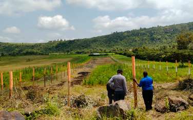 Residential Land at Nachu