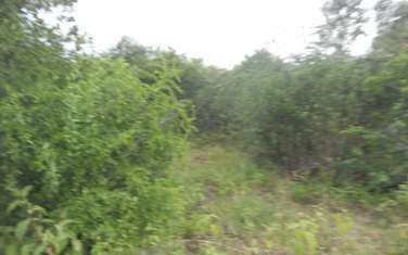 Land at Ridgemount
