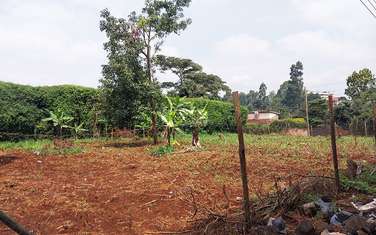 0.25 ac Land in Kinoo